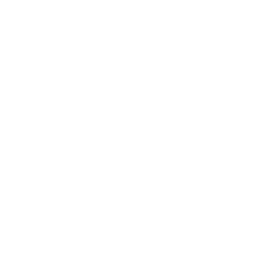 Logo des Snake-Style Tai Chi Chuan, 
            ein schlangenartig geschwungenes S umgeben von den chinesischen Schriftzeichen für Snake-Style Tai Chi Chuan